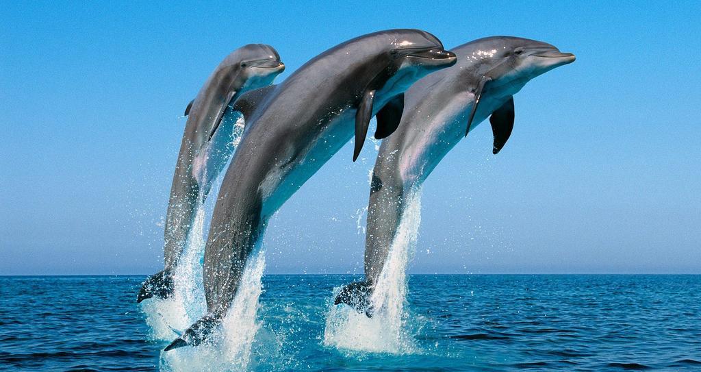 ホテルBeach Corner ウェリガマ エクステリア 写真